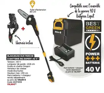 Bricomarché Élagueuse sur perche à batterie BG expert 40 V offre