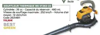 Bricomarché Souffleur thermique offre