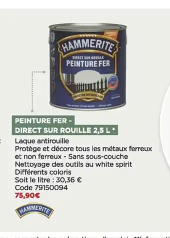 Peinture Fer-Direct Sur Rouille 2,5L