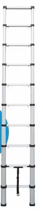 Mr Bricolage Échelle télescopique offre