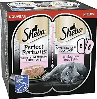 Géant Casino Terrine au Saumon pour Chat Perfect Portions offre