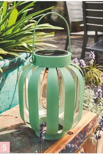 Gamm vert Lanterne cécile offre