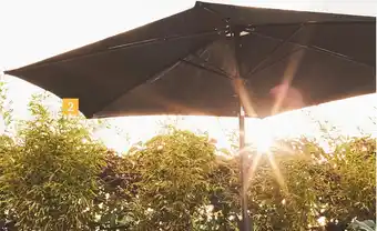 Gamm vert Parasol 300 manivelle tilt offre