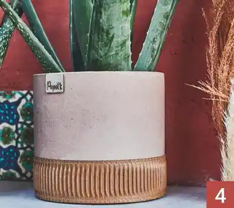 Cache-pot nina papotâs