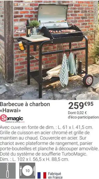 Gamm vert Somagic barbecue à charbon offre