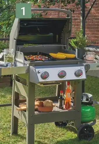 Gamm vert Weber barbecue à gaz spirit ii e-310 + plancha offre