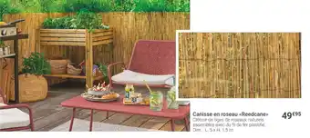 Gamm vert Canisse en roseau reedcane offre