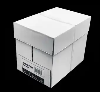 Bureau Vallée CARTON 5 RAMETTES PAPIER BLANC offre