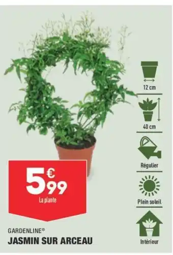 ALDI Jasmin sur arceau offre