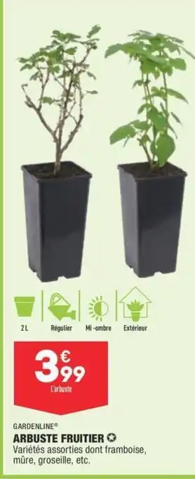 ALDI Arbuste fruitier offre