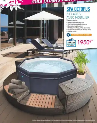 Irrijardin Spa octopus offre