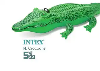 Gifi Intex Crocodile offre