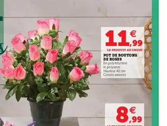Pot De Boutons De Roses