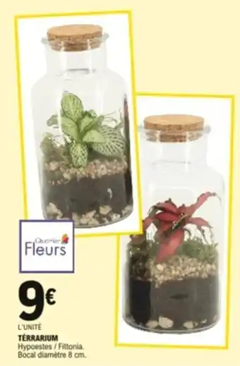 E.Leclerc Térrarium offre