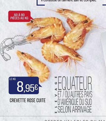 Match Crevette Rose Cuite offre