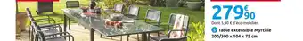 Mr Bricolage Table extensible myrtille offre