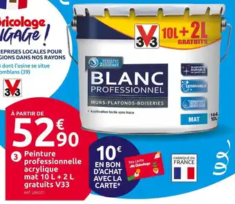 Mr Bricolage V33 peinture professionnelle acrylique mat 10 l + 2 l gratuits offre