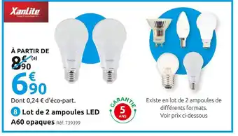 Mr Bricolage Xanlite pack de 2 ampoules led a60 opaques offre