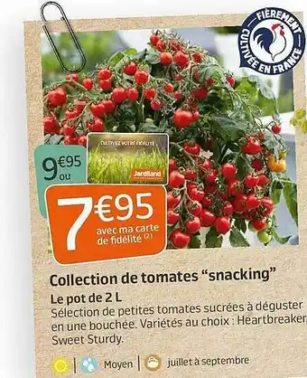 Jardiland Collection De Tomates offre