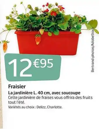 Jardiland Fraisier La Jardiniere L. 40cm, Avec Soucoupe offre