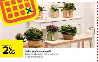 Carrefour Market Foire Aux Kalanchoe offre