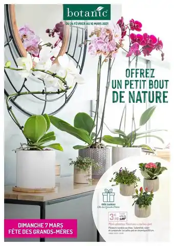 Botanic Mini-plantes Fleuries + Cache-pot offre