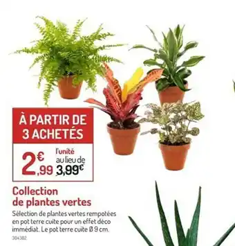 Botanic Collection De Plantes Vertes offre
