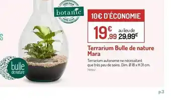 Botanic Terrarium Bulle De Nature Mara offre