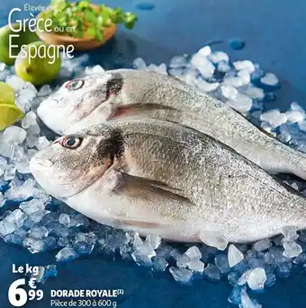 Auchan Dorade royale offre