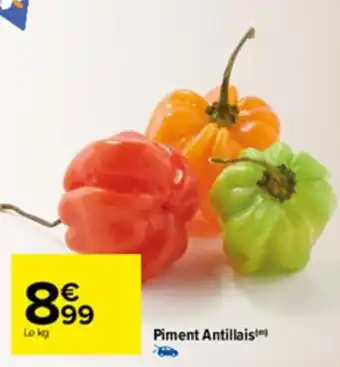 Piment antillais