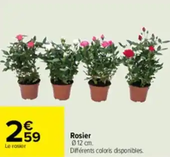 Carrefour Rosier offre