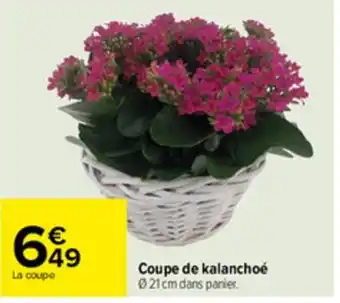 Carrefour Coupe de kalanchoé offre