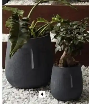 La Foir'Fouille Cache-pot visage offre