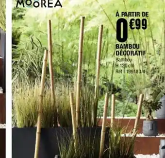 La Foir'Fouille À partir de bambou decoratif offre