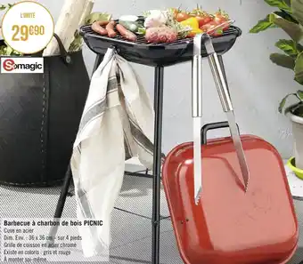 Géant Casino Somagic barbecue à charbon de bois picnic offre