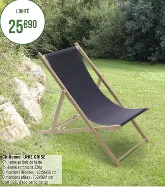 Chilienne unie grise