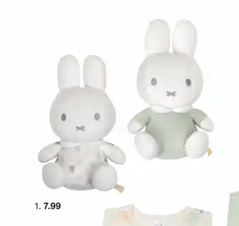 Zeeman Peluche offre
