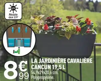 La jardinière cavalière cancun 19,5 l