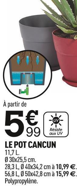Le pot cancun