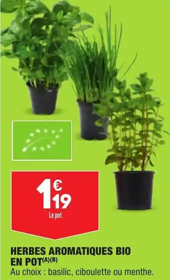 ALDI Herbes aromatiques bio en pot offre