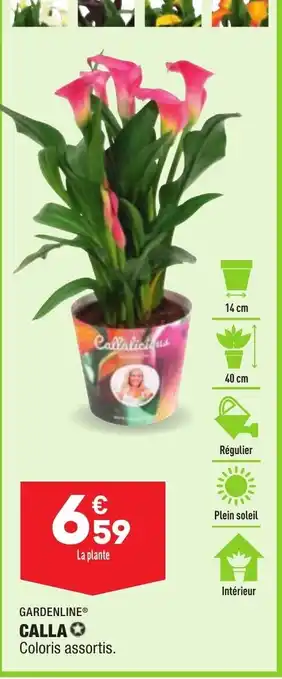 ALDI Calla offre