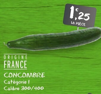 G20 Concombre offre