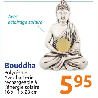 Action Bouddha offre