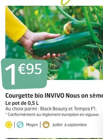 Jardiland Invivo nous on sème courgette bio offre