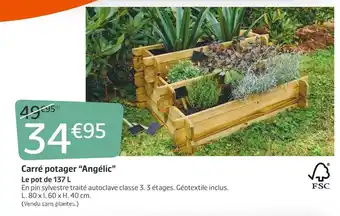 Jardiland Carré potager “angélic” offre