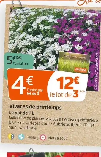 Jardiland Vivaces de printemps offre