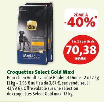 Maxi Zoo Select gold croquettes maxi offre