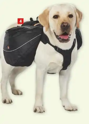 Maxi Zoo Harnais sac à dos offre