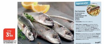 Bi1 Maquereaux ou sardines offre
