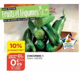 Bi1 Concombre offre